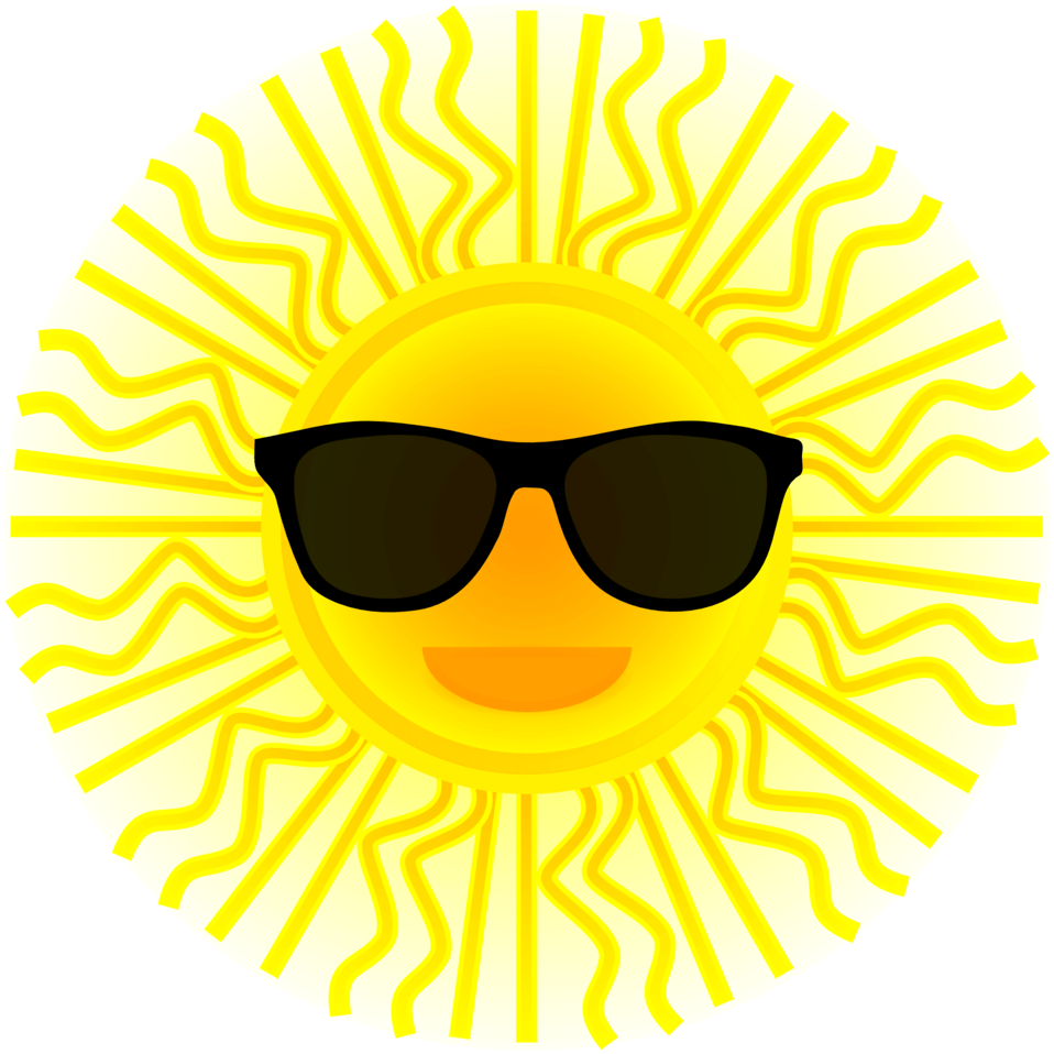 Elodie Flat Top Sunglasses in Black by LINDA FARROW – LINDA FARROW (U.S.)