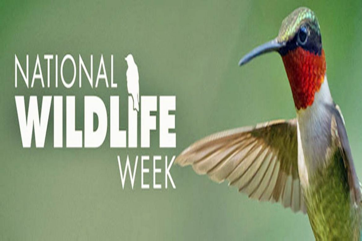 Maharashtra Forest Department to Celebrate Wildlife Week from Oct 1