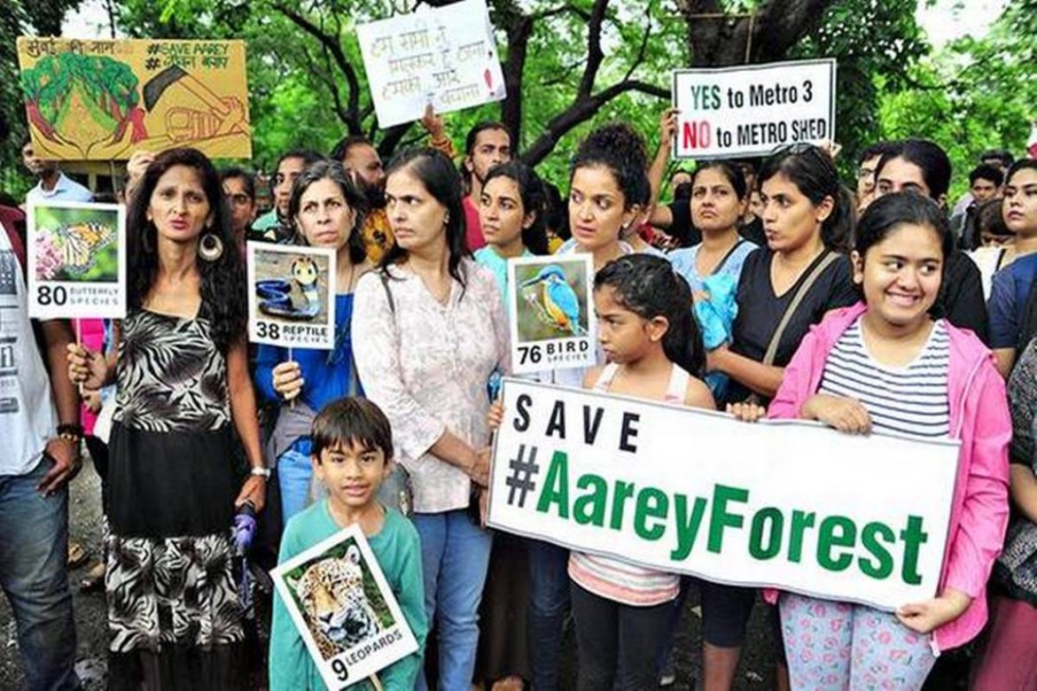 No Future Tree Felling Activity in Aarey Colony: MMRCL | Nagpur News