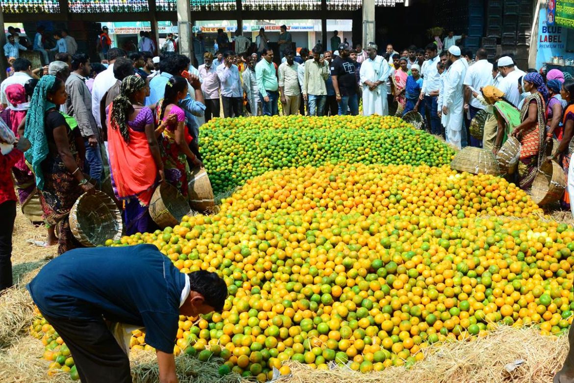 Winter Arrives and So Does Oranges in City | Nagpur City News