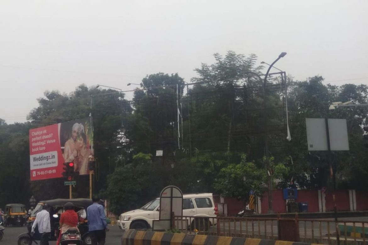 NMC Takes Action Against Ad Agency to Save Three Trees | Nagpur News