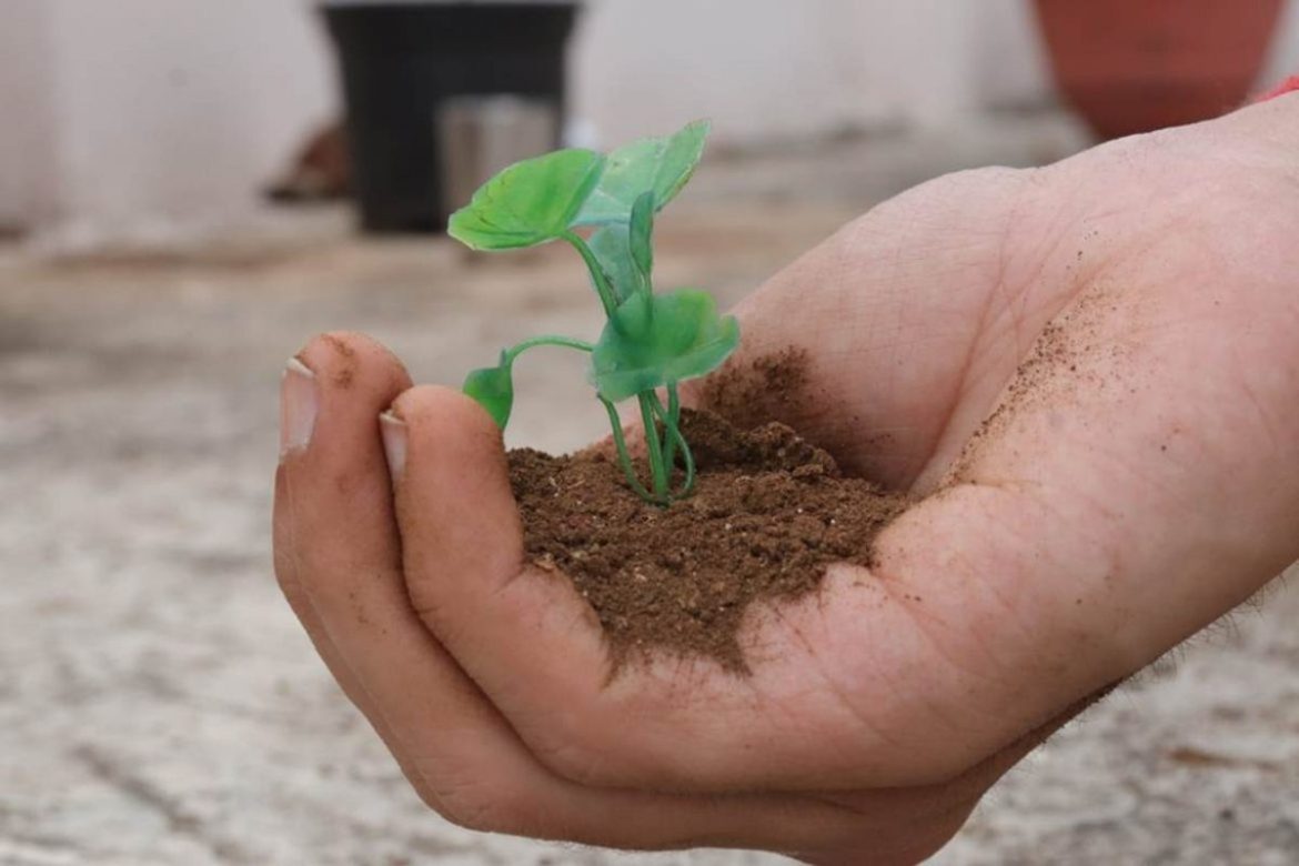 environment day