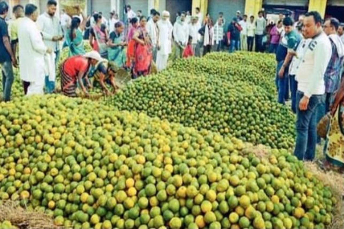 The peak of the season, Orange City Fruit Markets loaded with heaps of