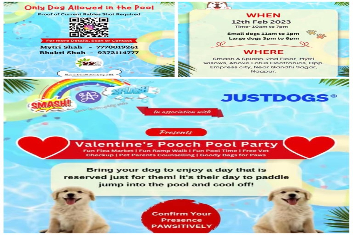 Valentines Pooch Pool Part by Smash and Splash on February 12, 2023 - The  Live Nagpur