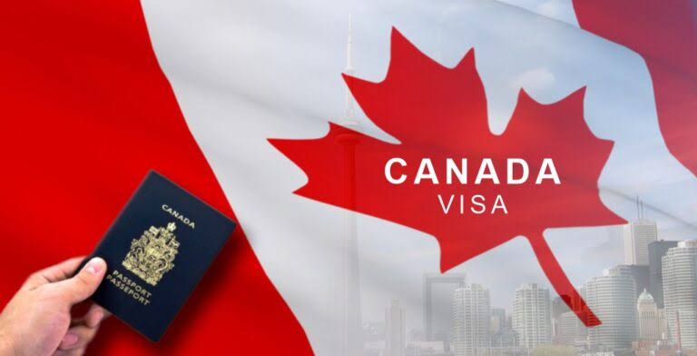 India suspends Canadian Visa service amid tension - The Live Nagpur