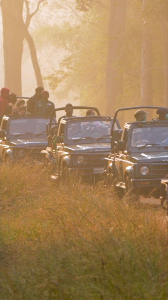 Jungle Safari at Tadoba Vanya Villas showcasing the rich wildlife and lush greenery