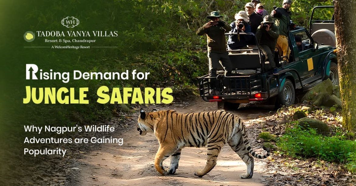 Tourists on a jungle safari capturing a tiger in the lush green forest near Tadoba Vanya Villas Resort, Chandrapur